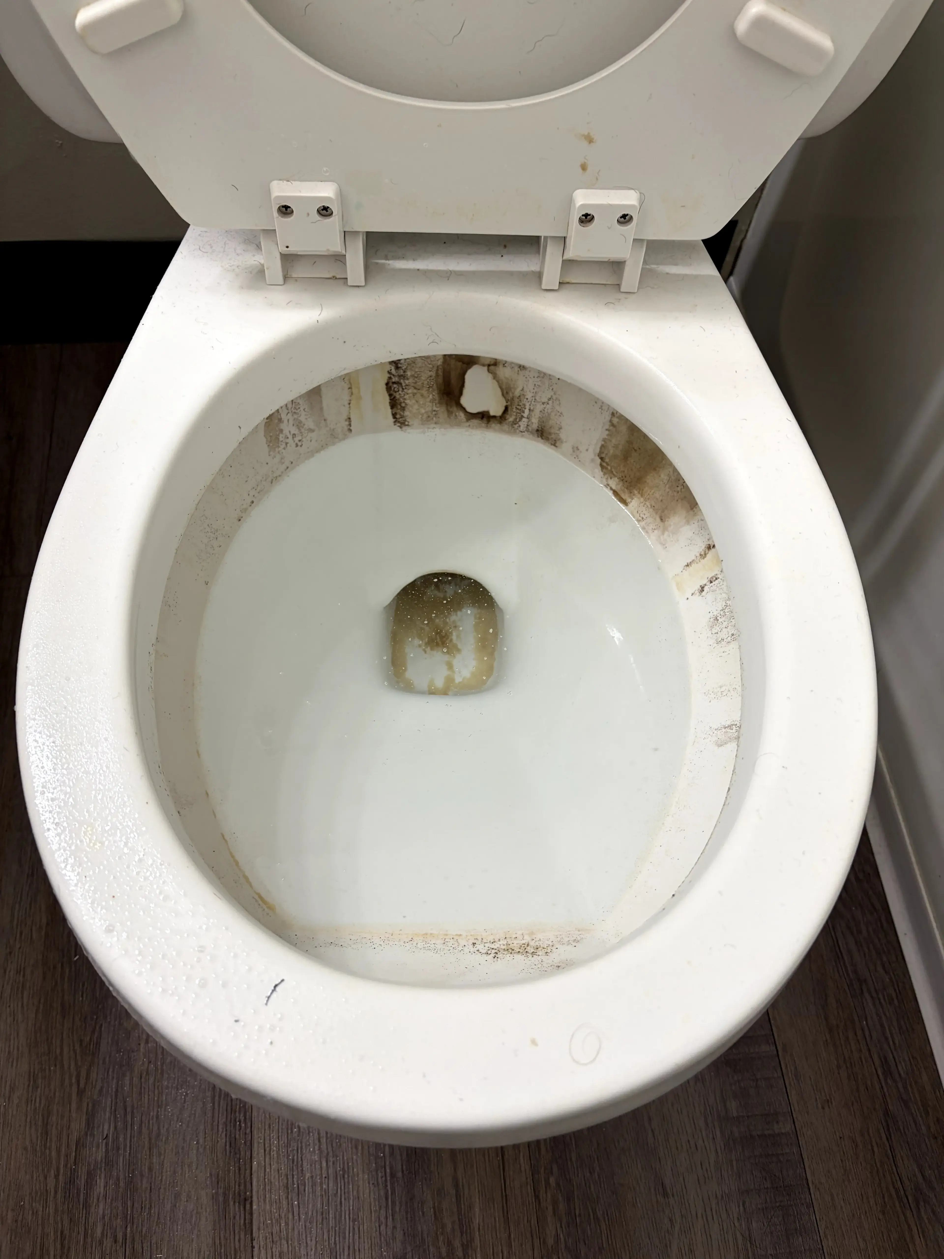 Before cleaning